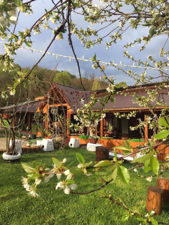 Langa Stana Hotel Curtea De Arges Exterior photo